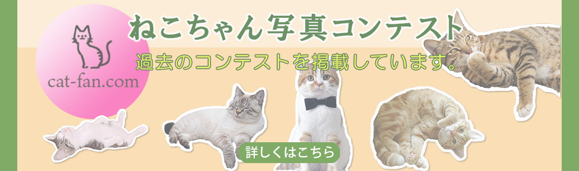 cat-fanサイトバナー