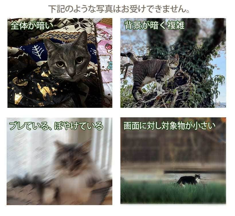 お受けできない写真の一例